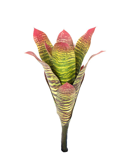 BROMELIA 38CM VERDE/VERMELHA Cod: 8638-VV