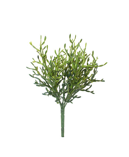 SUCULENTA RIPSALIS BUQUE X7 30cm VE Cod: 8730-VE