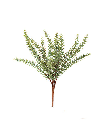 SUCULENTA SEDUM BLUE SPRUCE BUQUE 35 CM Cod: 8733