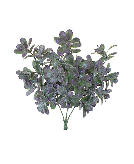 SUCULENTA JADE PLANTA VD/ROXO 40 CM Cod: 8779