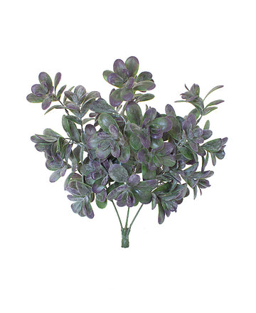 SUCULENTA JADE PLANTA VD/ROXO 40 CM Cod: 8779