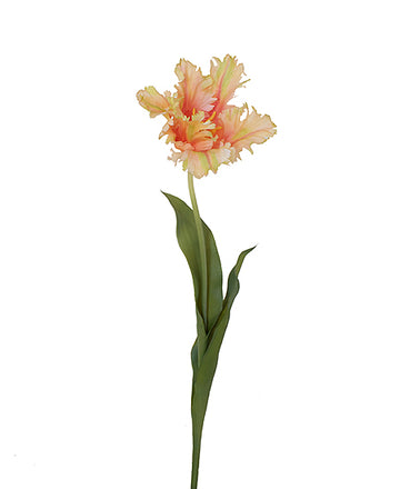 TULIPA PARROT 70CM SALMÃO Cod: 8792-SL