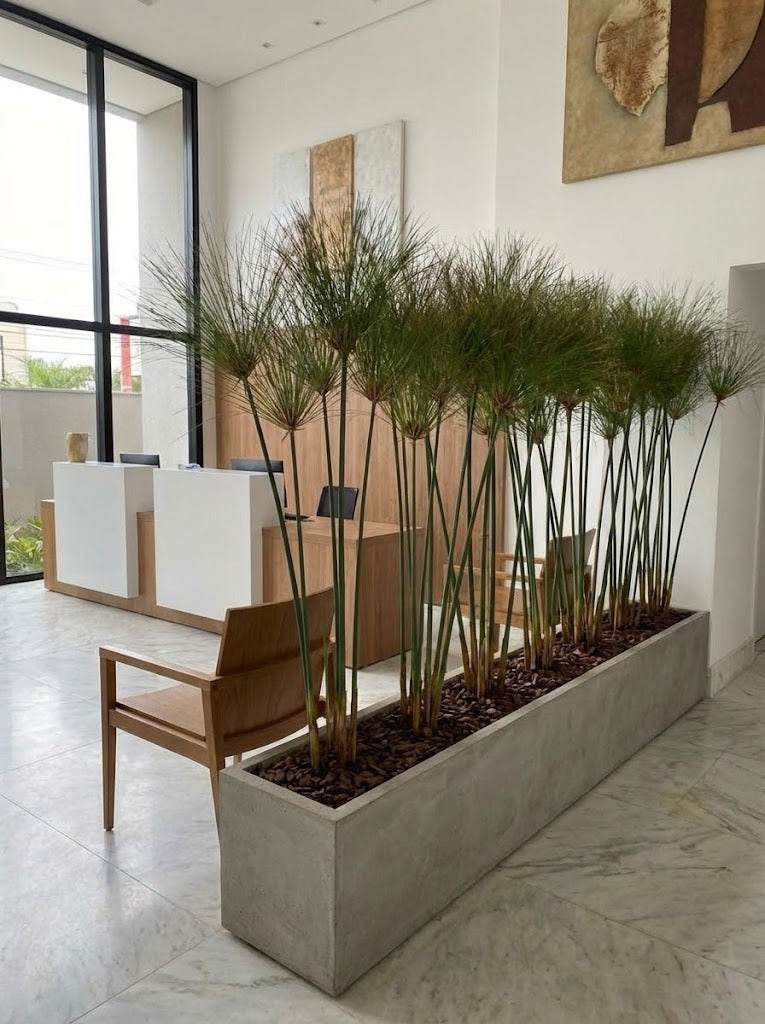 PAPIRO UNITARIO 116CM Cod: 8794