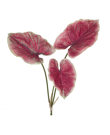 CALADIUM 61CM MV Cod: 8804-MV