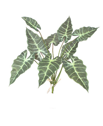 ALOCASIA AMAZÔNICA 69CM Cod: 8817