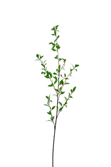 VERBENA GALHO VERDE 116CM Cod: 8897