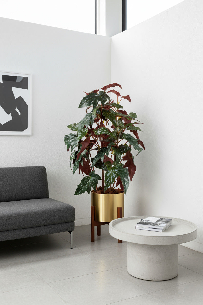 BEGONIA ANGEL WING 83CM VD/BU Cod: 8898VDBU