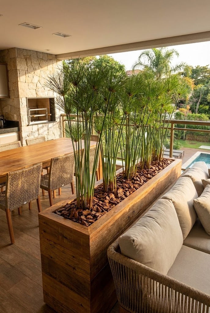 PAPIRO UNITÁRIO 150 CM Cod: 8904