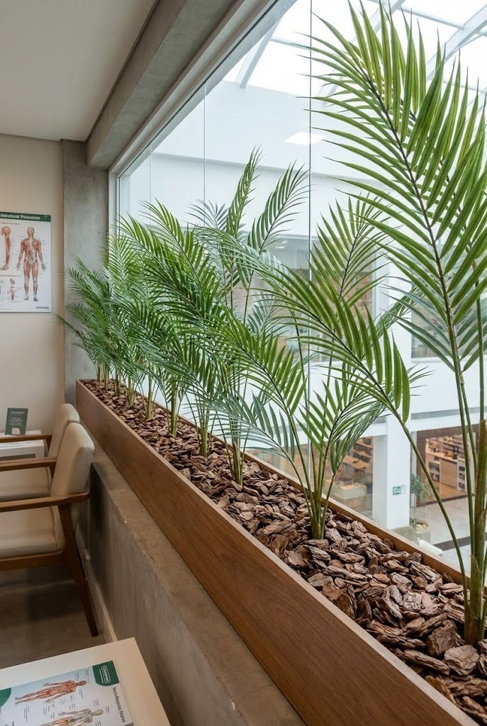 PALMEIRINHA X5 125CM Cod: 8933