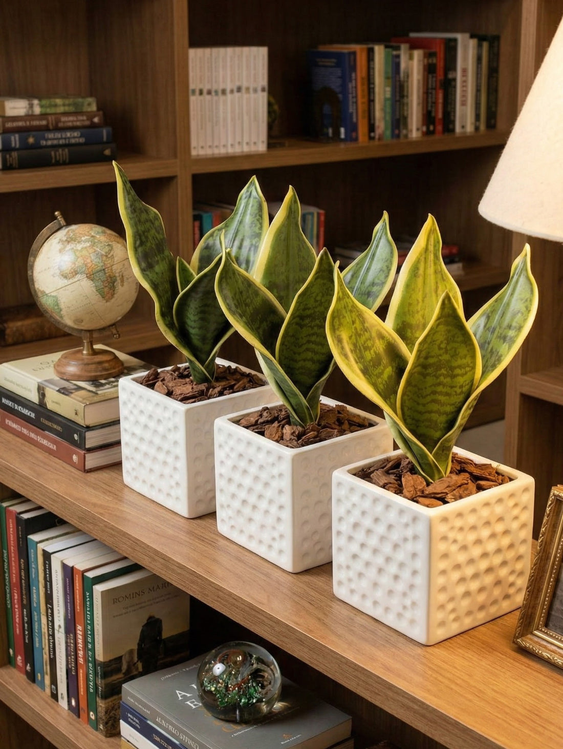 ESPADA-DE-S.BARBARA X5 38CM Cod: 8938