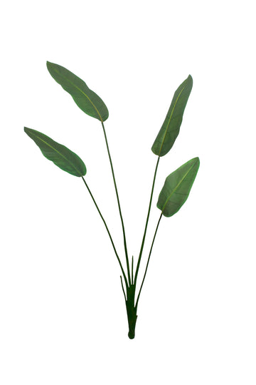 FOLHAGEM ESTRELITZA X4 179CM Cod: 8948