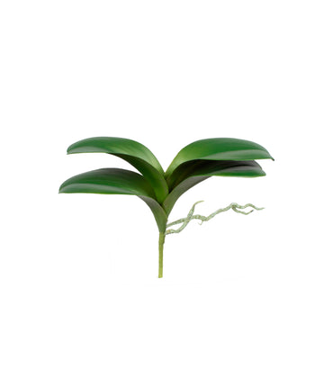 FOLHAGEM DE ORQ. PHALAENOPSIS 22CM Cod: 8951