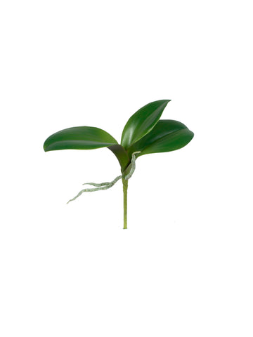 FOLHAGEM DE ORQ. PHALAENOPSIS 23CM Cod: 8952