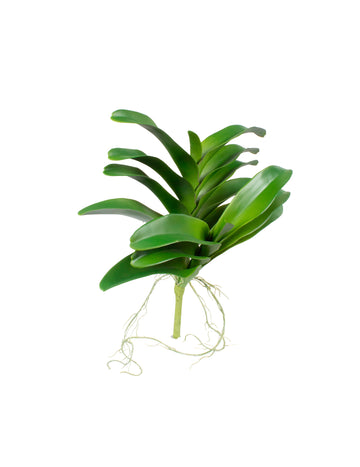 FOLHAGEM DE ORQ. VANDA 39CM Cod: 8955