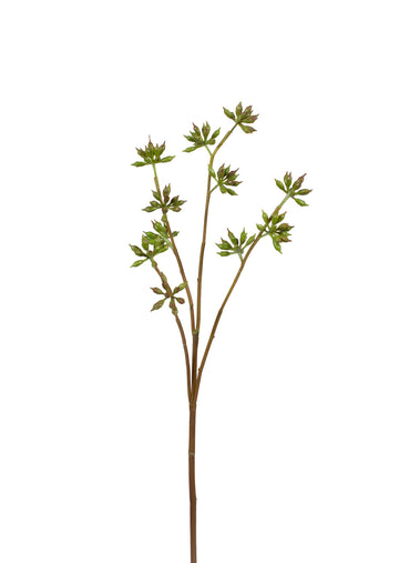 EUCALIPTO BERRIES GALHO 60CM Cod: 8959