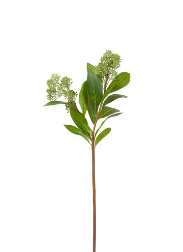 VIBURNUM GALHO 54CM Cod: 8961