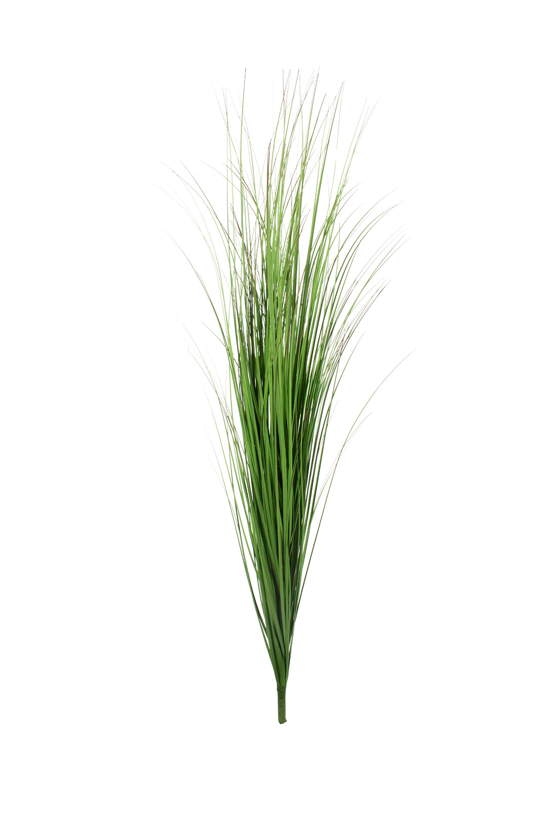 CAPIM BUQUE 90CM Cod: 8970