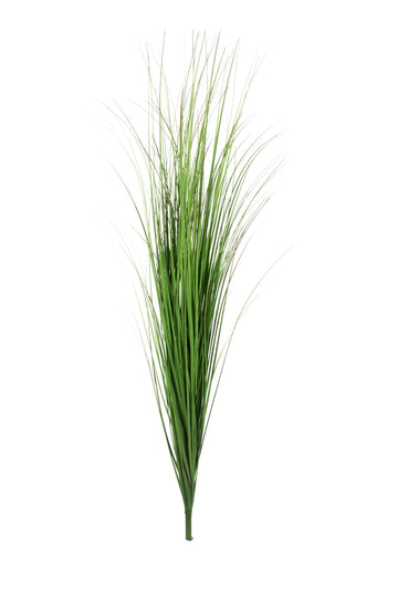 CAPIM BUQUE 120CM Cod: 8971