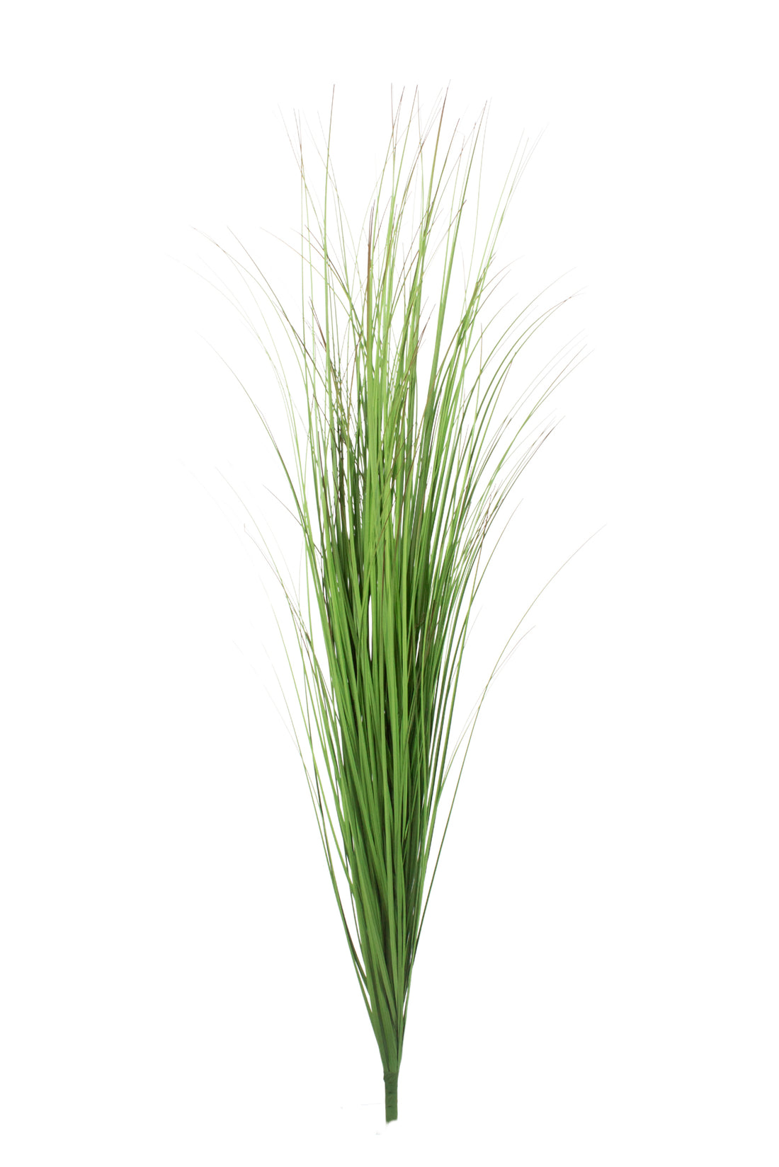 CAPIM BUQUE 120CM Cod: 8971