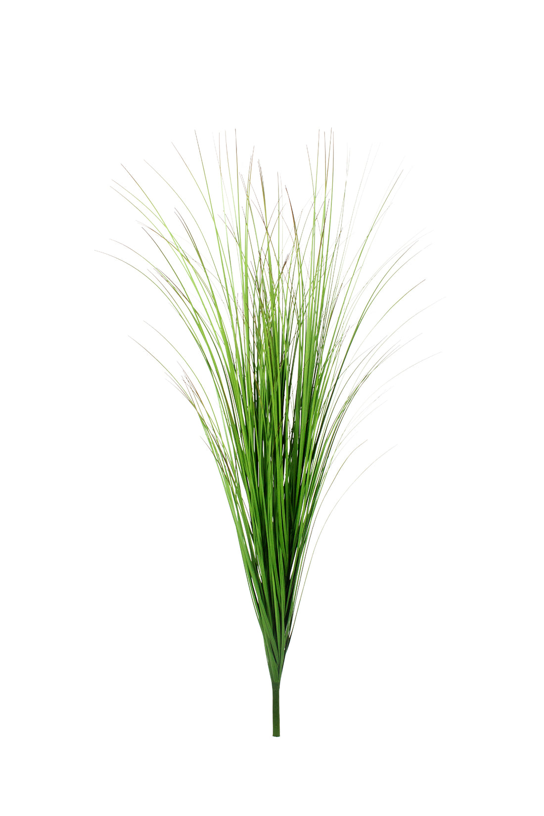 CAPIM BUQUE 120CM Cod: 8971