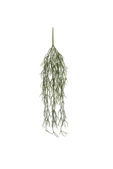RIPSALIS PENDENTE 70CM Cod: 8975
