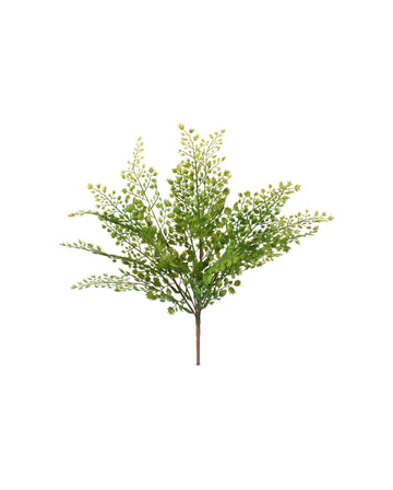 AVENCA BUQUE 45CM Cod: 8976