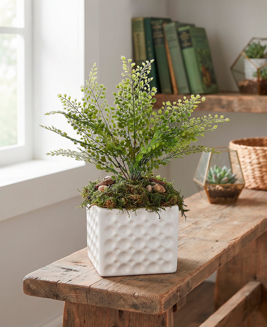 AVENCA BUQUE 45CM Cod: 8976