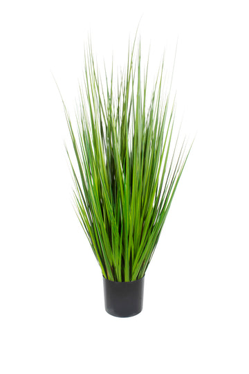 CAPIM MOREIA EM POTE 134CM Cod: 8978