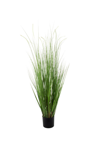 CAPIM MOREIA EM POTE 150CM Cod: 8980