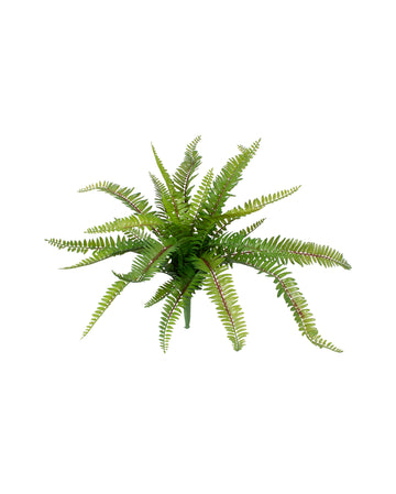 SAMAMBAIA 55CM Cod: 8982