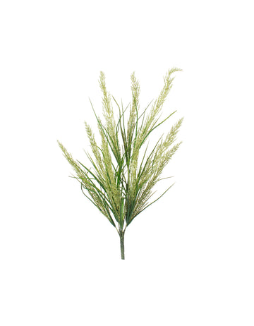 CAPIM-DOS-PAMPAS VD 55CM Cod: 8984