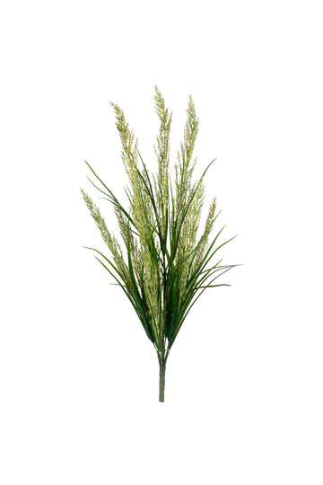 CAPIM-DOS-PAMPAS VD 55CM Cod: 8984
