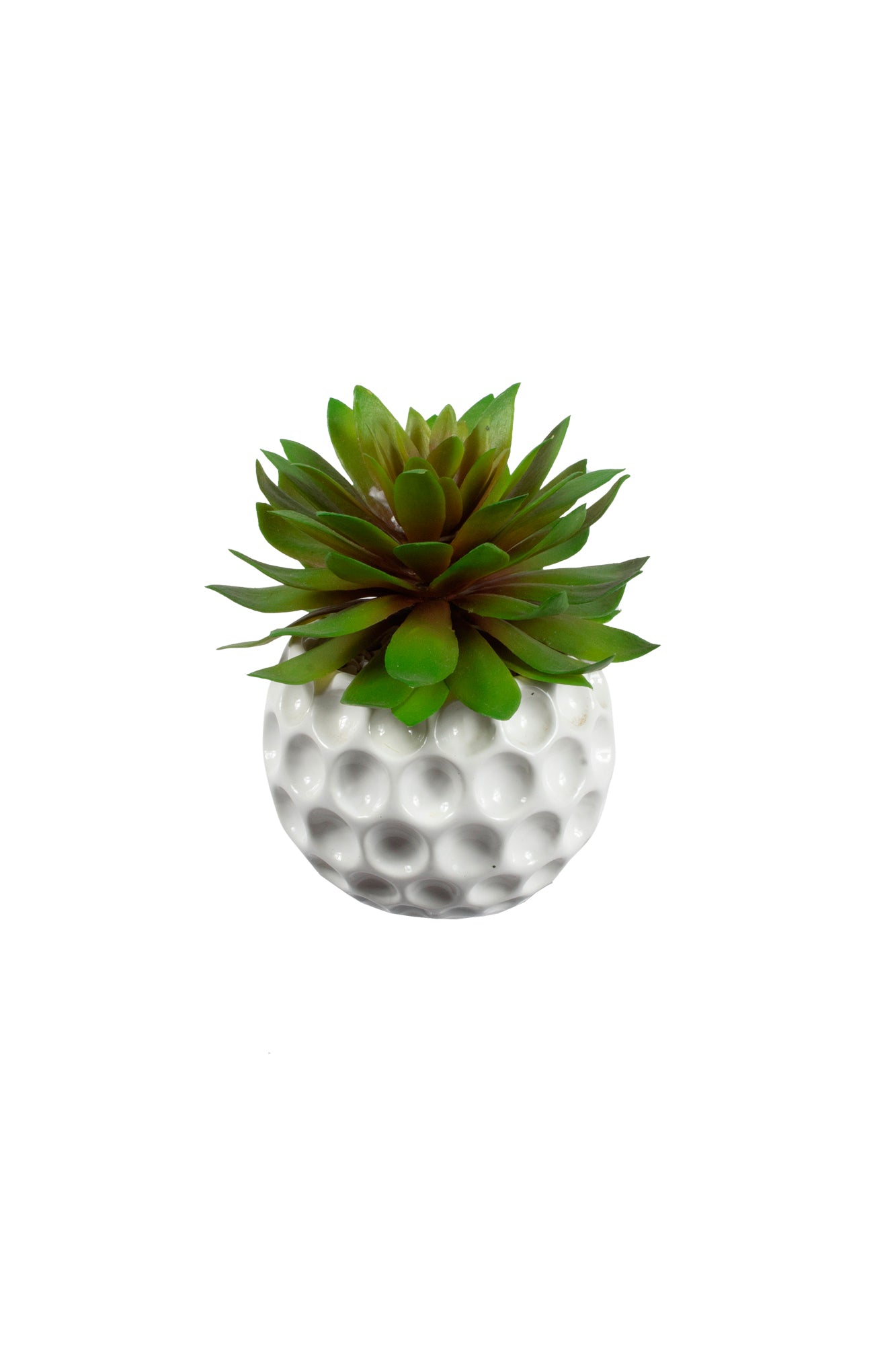 SUCULENTA  EM CER 14CM Cod: A4778-VV