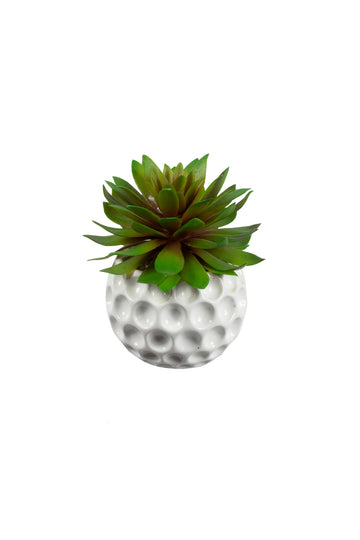 SUCULENTA  EM CER 14CM Cod: A4778-VV