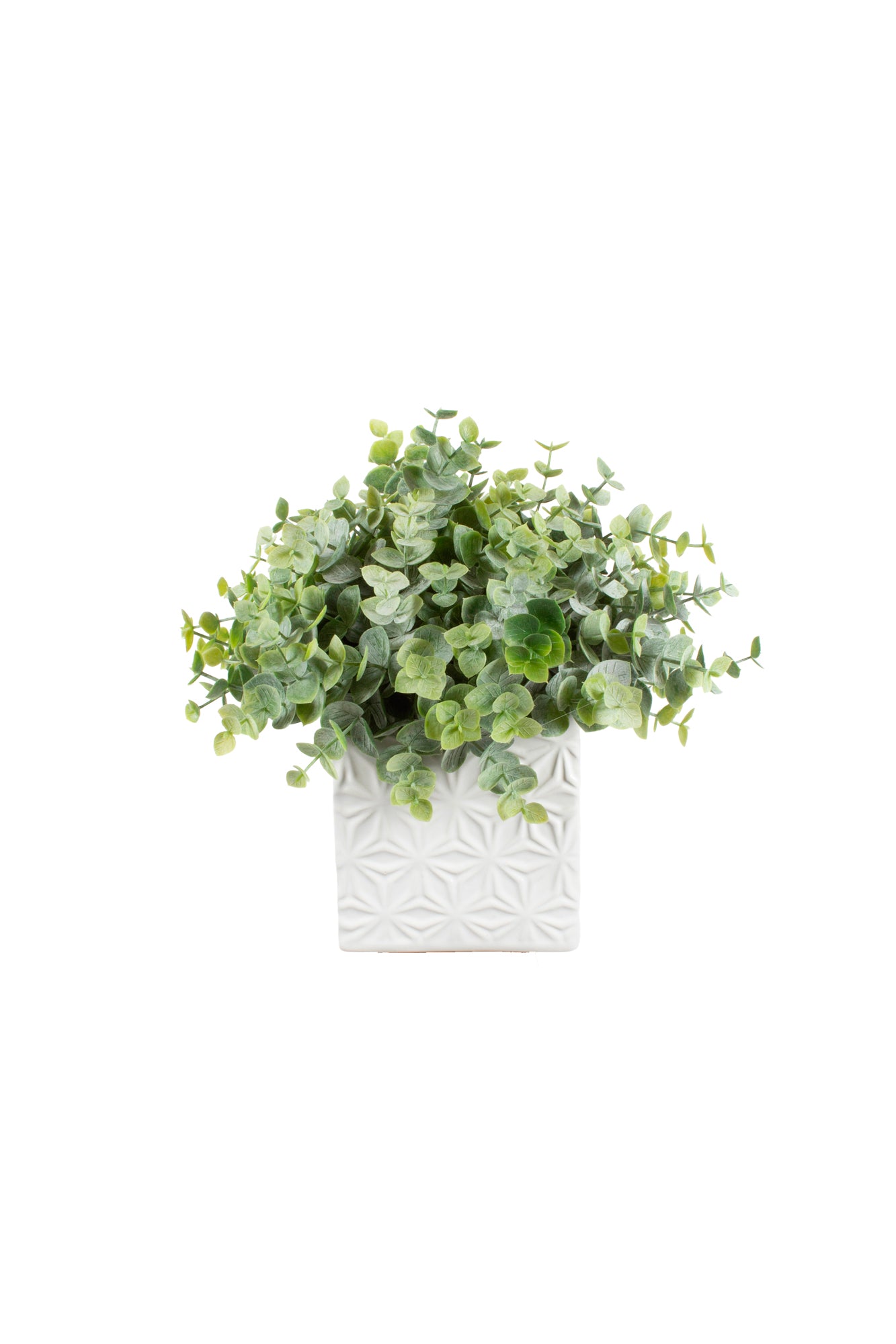 EUCALIPTOS EM CER 23CM Cod: A5948