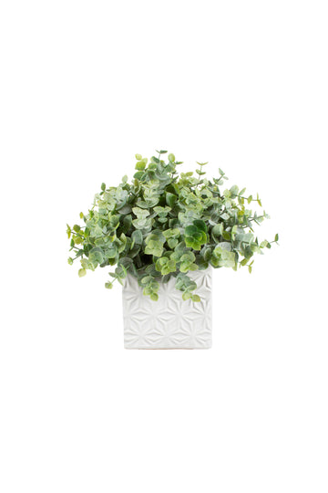 EUCALIPTOS EM CER 23CM Cod: A5948