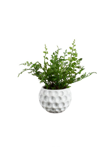 SAMAMBAIA EM CER 12CM Cod: A6261