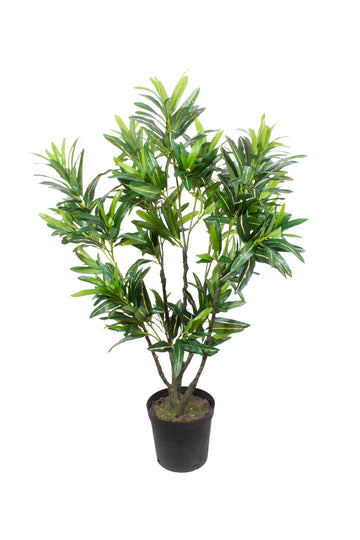 ÁRVORE DE CROTON EM POTE 105CM Cod: A6352