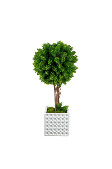 BUXINHO TOPIARIA LÚPULO EM CER 38CM Cod: A6353