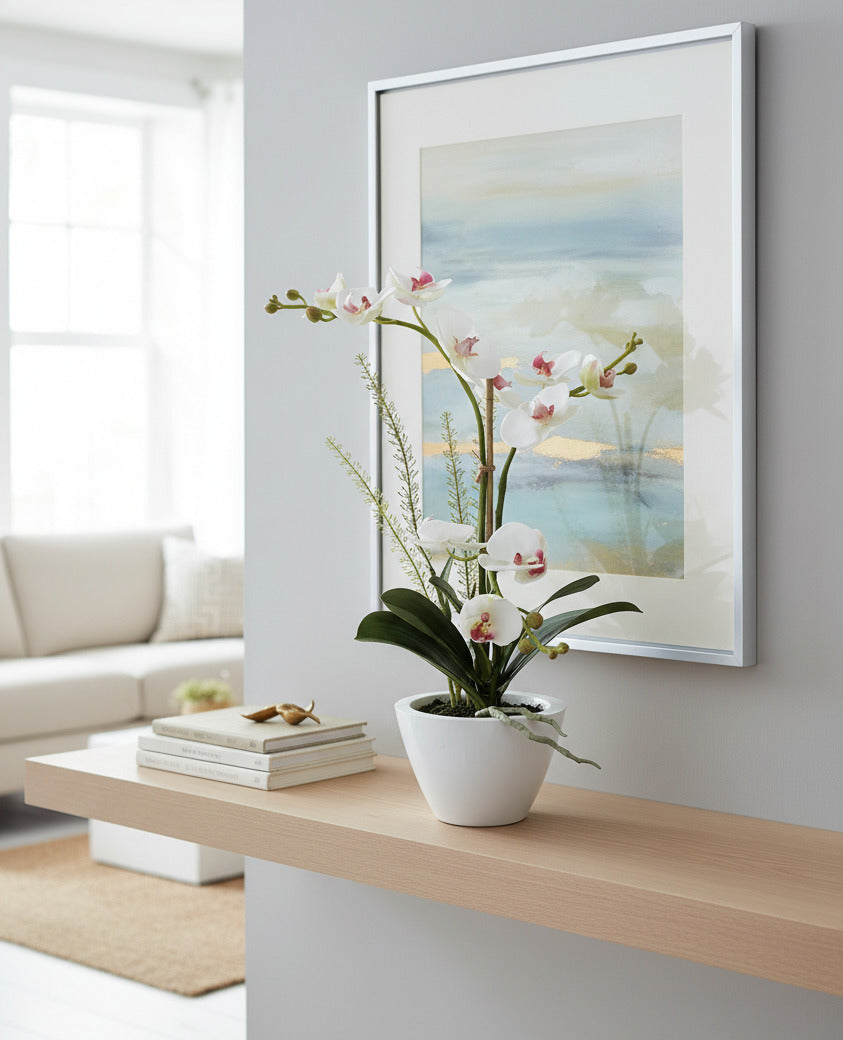 ORQ. PHALAENOPSIS BF X3 EM CER 44CM Cod: A6369