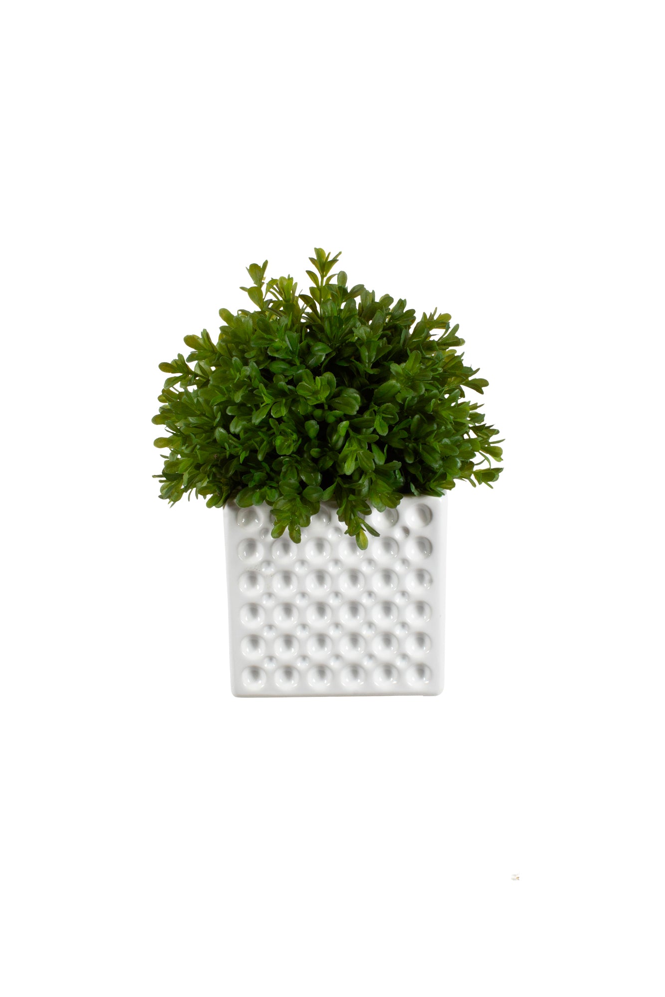 BUXINHO EM CER 20CM Cod: A6376