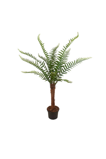ÁRVORE SAMAMBAIA SELVAGEM EM POTE 130CM Cod: A6398