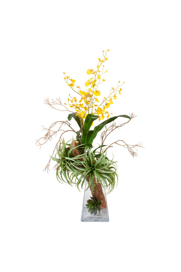 TILLANDSIA E ORQUÍDEA AM EM VIDRO 90CM Cod: A6418