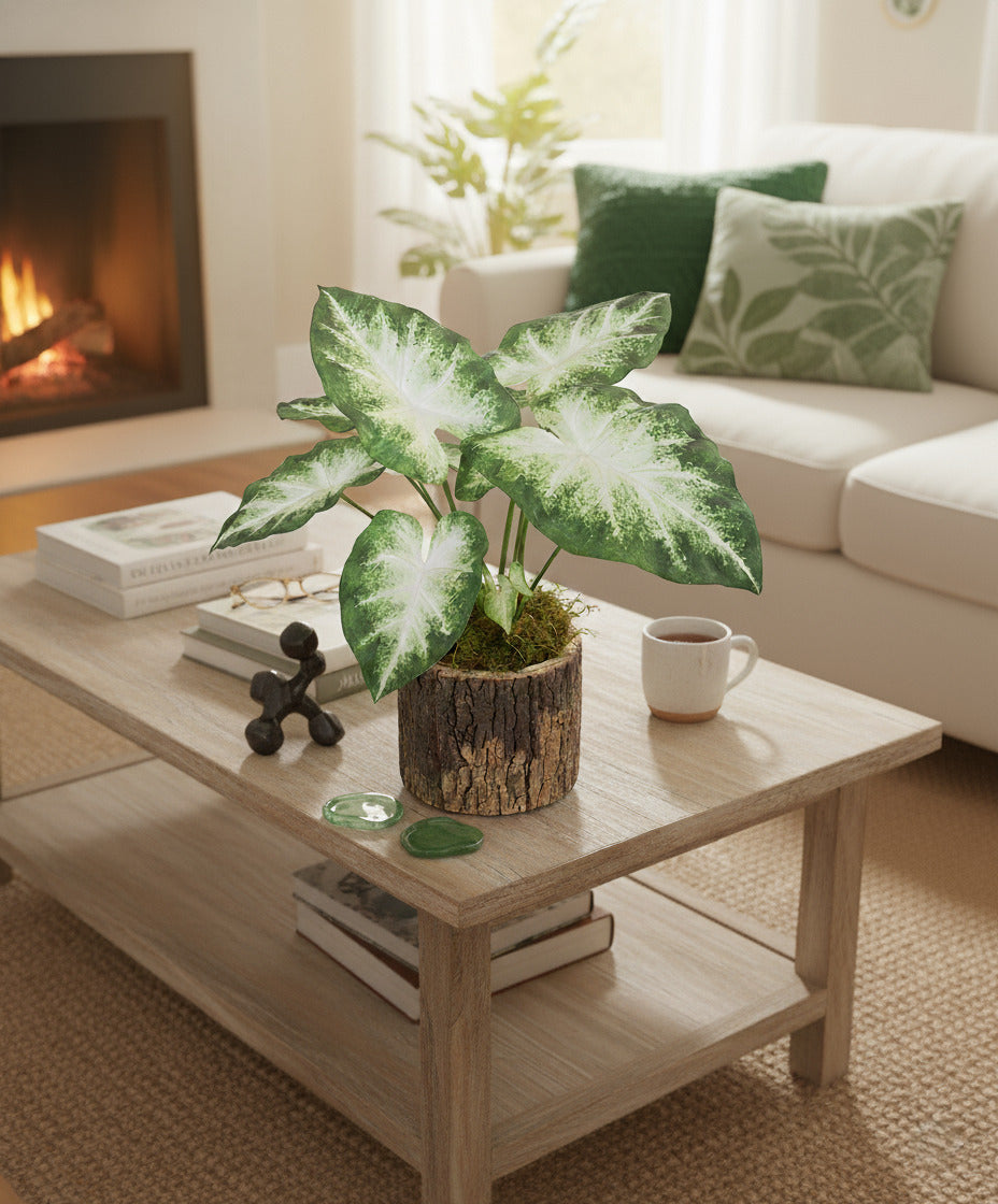 CALADIUM MTZ X 9 EM POTE PVC 50CM Cod: A6425