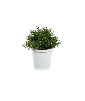 FITOSPORUM EM CER 13CM Cod: A6439