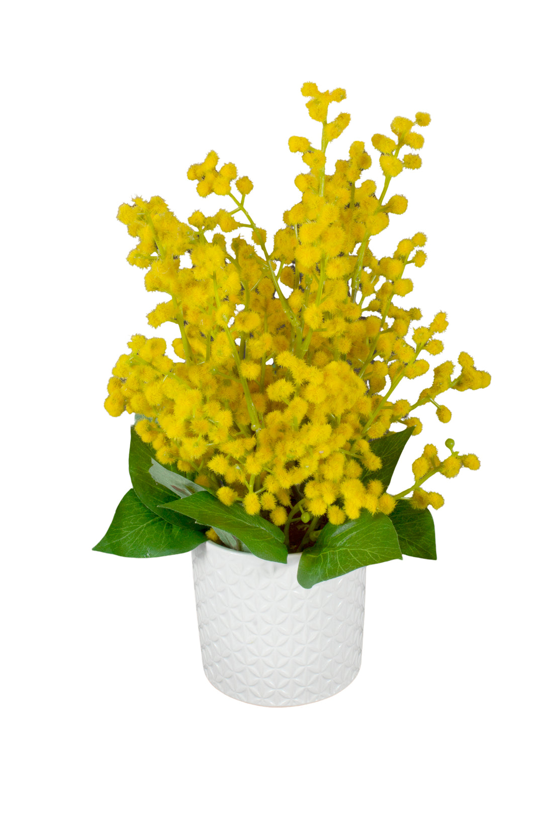 ACÁCIAS AMARELAS NO VASO CER 25CM Cod: A6506