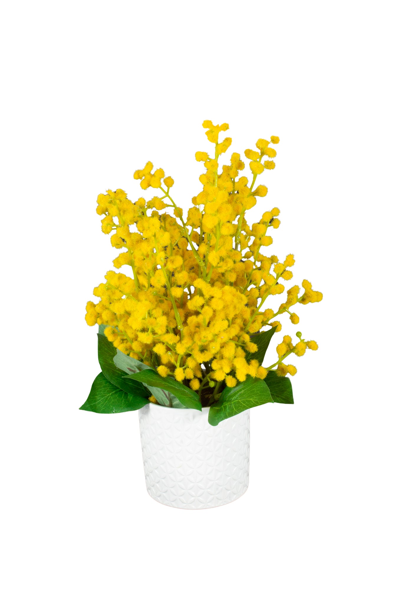 ACÁCIAS AMARELAS NO VASO CER 25CM Cod: A6506