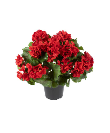 GERÂNIOS VM NO POTE DE PLÁSTICO, 42CM Cod: A6556PT