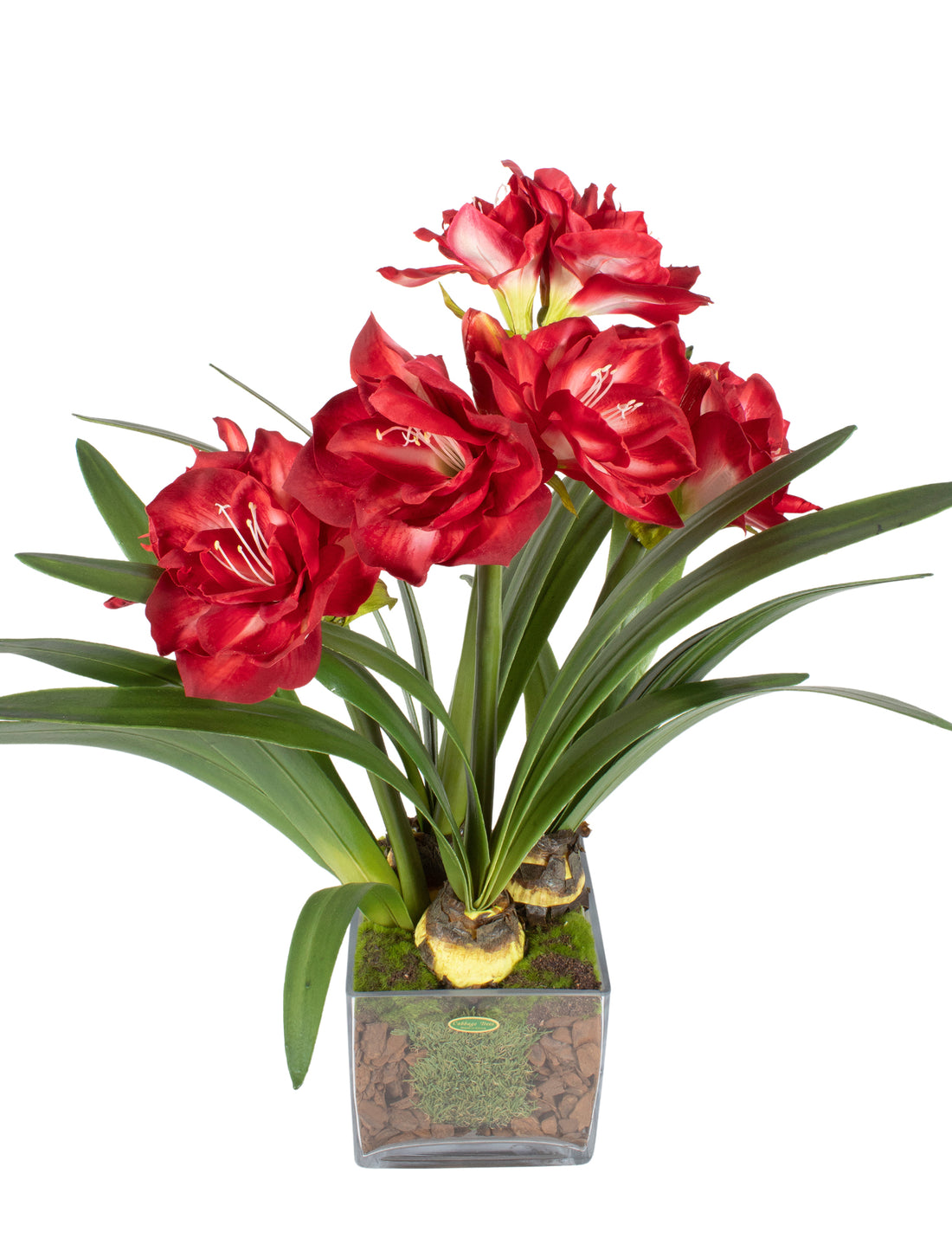 AMARYLLIS VERMELHAS EM VIDRO, 73CM Cod: A6557