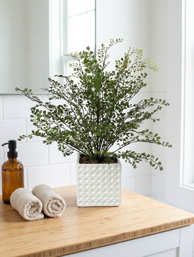 AVENCAS EM CER BCA 55CM Cod: A6564